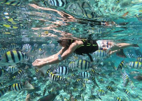 World Best Places To Snorkel Where Are The Most Snorkelable Waters