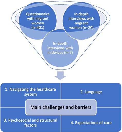 The Main Challenges And Barriers Identified By Triangulating Findings Download Scientific
