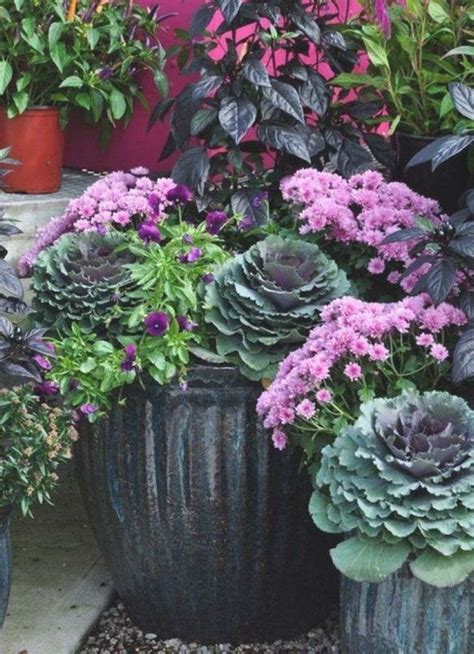 Pin By Kristen Davis On Fall Planters Fall Container Gardens Fall
