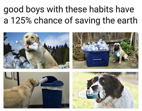 Pin by Amy Pelaez on Funny/Relatable | Earth day meme, Memes, Dog memes