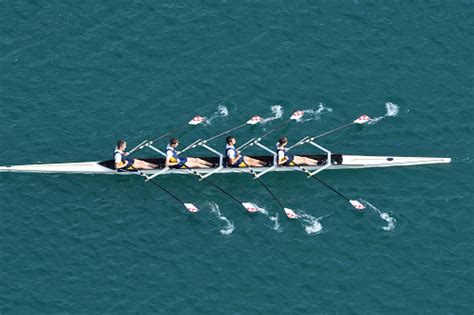 Male Quadruple Scull Rowing Team At The Race Lake Bled Slovenia Stock