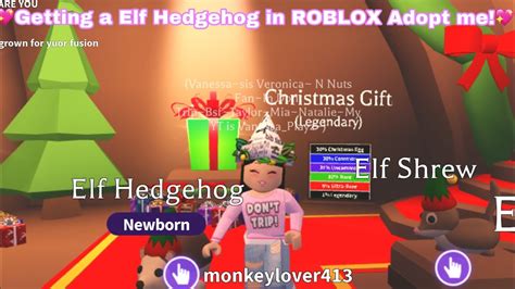 Getting A Elf Hedgehog In Roblox Adopt Me Youtube