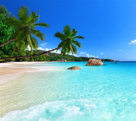 Strand Wallpaper Beach Wallpaper Jamaica Vacation Vacation Spots Beautiful Places To Travel