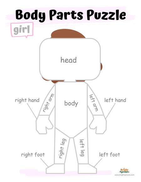 Parts Of The Body Printable Pack Body Parts Preschool Activities