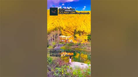 Onbit Natural Recreation Forest - hidden gems in Nonsan, South Korea