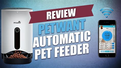 Petwant Automatic Pet Feeder Review Youtube