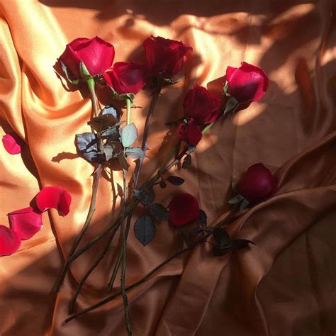 Roses Are Forever Instagram Posts Instagram Rose