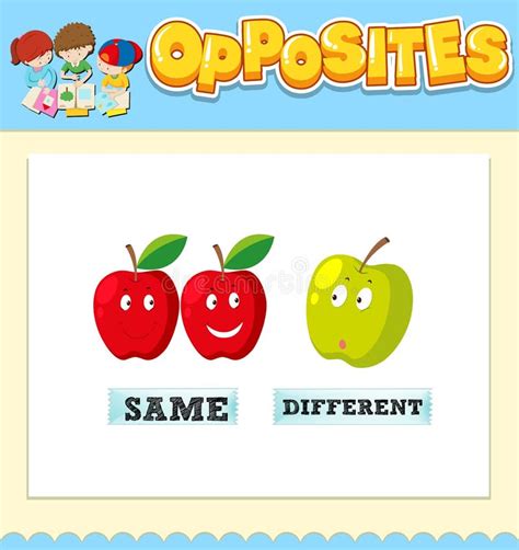 Opposite Words For Same And Different Stock Vector Illustration Of