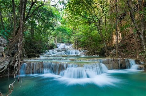 Free Images Tree Waterfall Body Of Water Natural Landscape Water