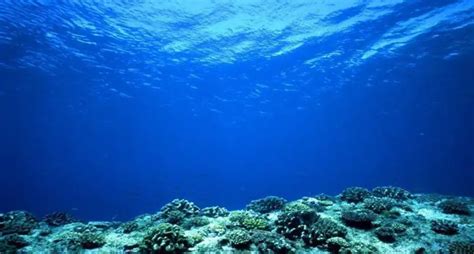 Relieve Oceánico ¿qué Es Características Tipos Y Más