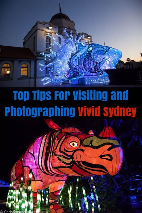 Top Tips For Visiting And Photographing Vivid Sydney Adventure Baby