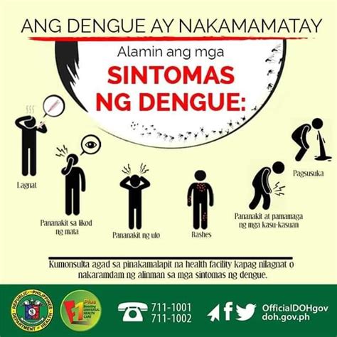 Ange Dengue Ay Nakamamatay Alamin Ang Mga Sintomas Ng Dengue Bacoor