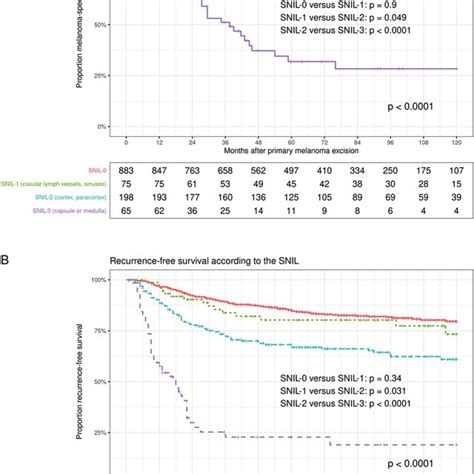 Survival Rates According To The Snil A Melanoma Specific Survival Rate
