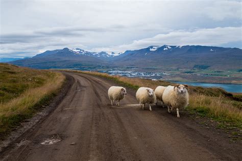 The Icelandic Roads Guide To Iceland
