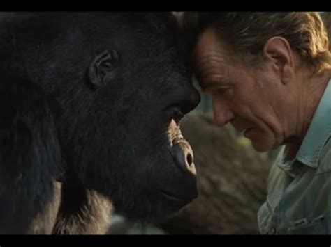 Bryan cranston with a gorilla named ivan, voiced by sam rockwell, in a scene from the one and only ivan. 'The One and Only Ivan' review: Freedom is key to Disney ...