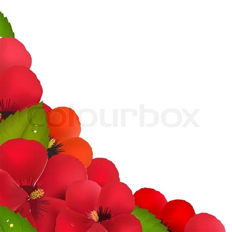 Bunga ini digunakan bagi mengilat kasut disebahagian india. 40+ Koleski Terbaik Background Border Bunga Raya - Rouge ...