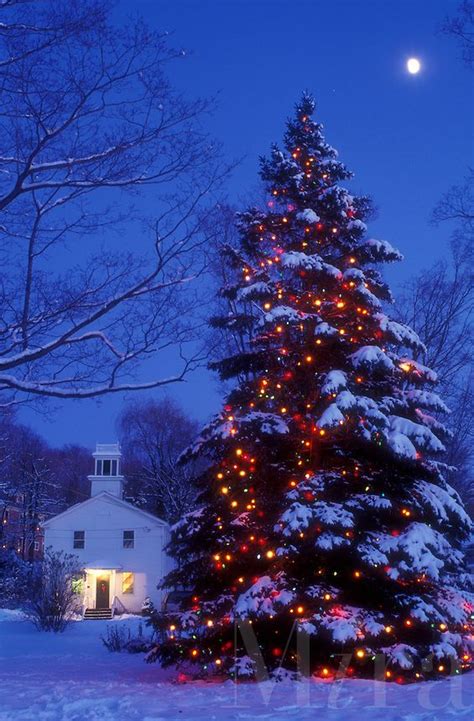Outdoor Christmas Outdoor Christmas Lights Outdoor Christmas Tree