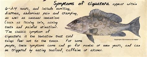 The Fisheries Blog The Latest On Ciguatera Fish Poisoning