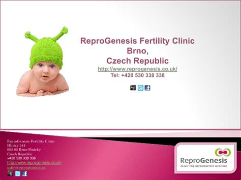 What You Need To Know About Ivf Treatment In The Czech Republic