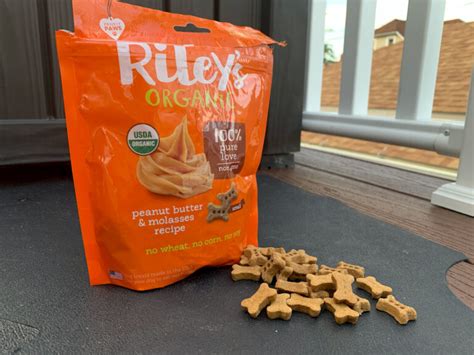 10 Peanut Butter Dog Treats Pups Need To Try Great Pet Care