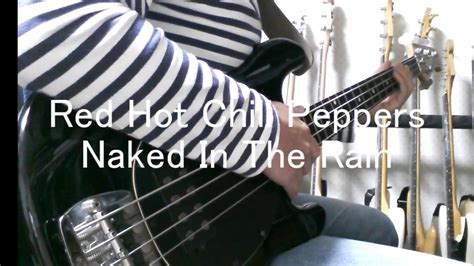 Red Hot Chili Peppers Naked In The Rain Bass Cover Youtube