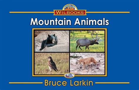 Mountain Animals Kindergarten Book Wilbooks