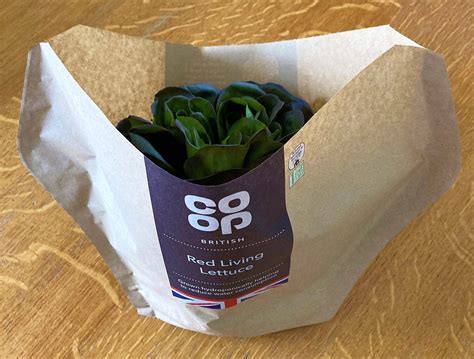 Sustainably Packaged Living Lettuce Launched In Co Op Stores
