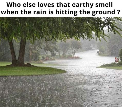 Rain Pictures Meme Pictures Weird Facts Fun Facts Rainy Dayz