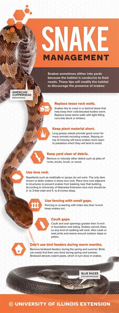 Management Snake Management Tips How To Keep Snakes Out Of Your