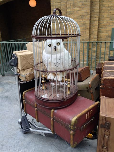 Harrys Luggage And Owl Hedwig Wait Patiently For Him At Platform 9