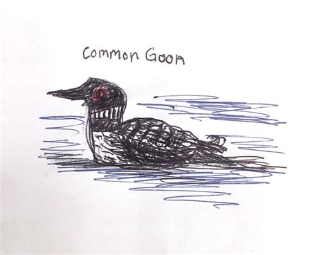 Featured on midwest, mountain plains, new atlantic, northern, pacific northwest and southern regional indie bestseller lists. Common Goon Dumb Birds Field Guide (With images) | Field guide, Interesting animals, Birds