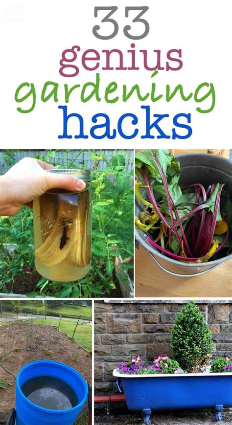33 genius gardening hacks you must try this season gardening tips gardening for beginners