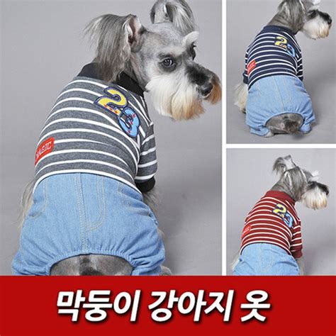 스트라이프 강아지 티셔츠 1p 애견의류 강아지옷 홈플러스 익스프레스