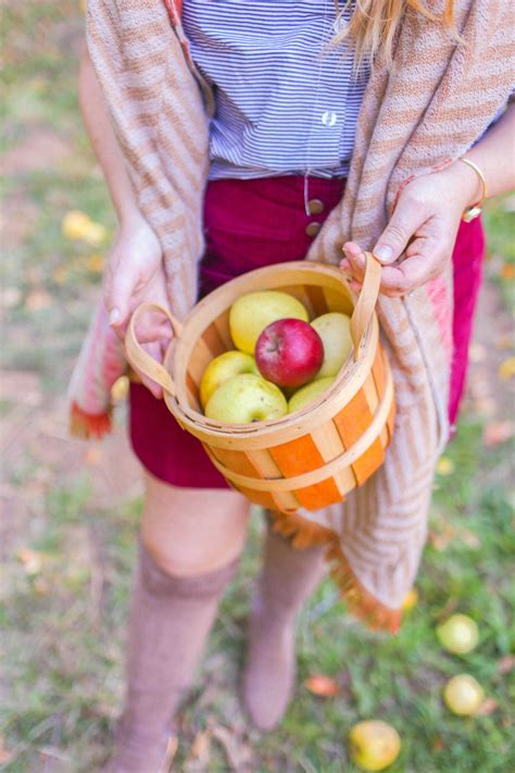 Hidden Gems Inside Apple Hill - Just Outside Sacramento!
