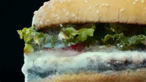 Burger King Moldy Whopper Cannes Advertising Festival 2021 Film