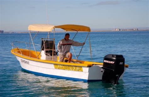 Salidas De Pesca En La Paz Con Charter Open Panga I Precios 2020