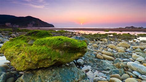 Wallpaper Sea Beach Rocks Stones Moss Morning Dawn Sunrise
