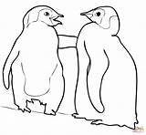 Penguin Coloring Emperor Penguins Babies Outline Pittsburgh Printable Clipart Supercoloring Sheets Drawing Popular Super Animal sketch template