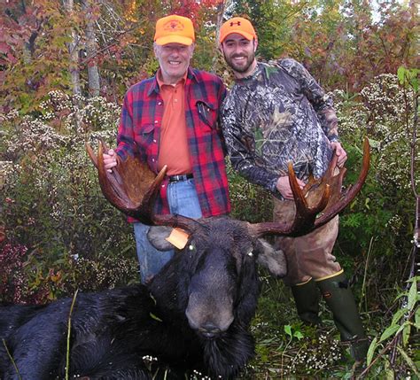 Trophy Moose Hunting Photos From Maine At Ross Lake Camps