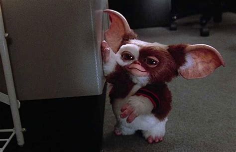 Gizmo Stripe From Gremlins Gizmo From Gremlins Coming To