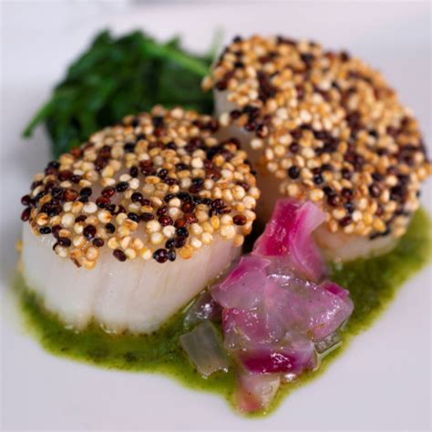Chimichurri quinoa crusted scallops | Marine Stewardship ...