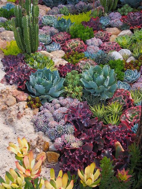 20 Gorgeous Succulent Garden Ideas For Your Backyard Rock Garden