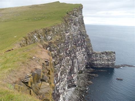 Puffin´s Paradise Huge Icelandic Cliff Perfect For Bird Watching