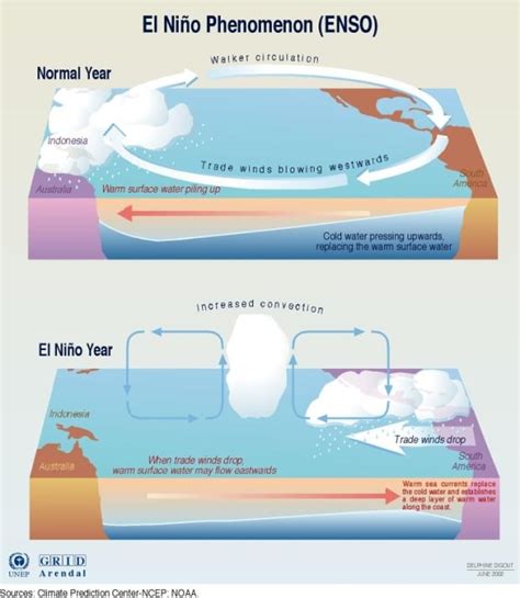 Why This Winters El Nino Was One Of The Strongest On Record