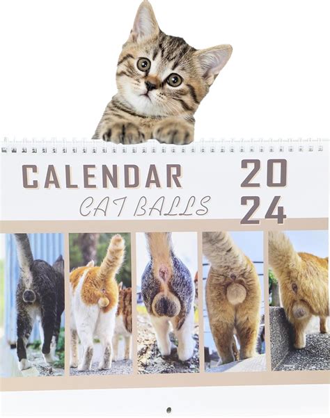 Amazon Com Zlmc Funny Cat Calendar Cat Balls Calendar Colorful Wall Hanging Calendars X