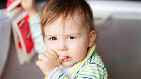Toddlers And Biting Finding The Right Response • Zero To Three
