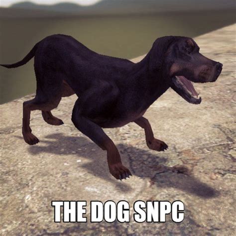 Steam Workshop The Dog Snpc
