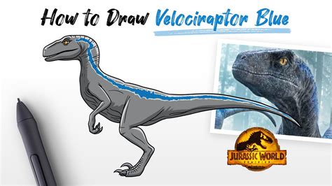How To Draw Velociraptor Blue Raptor Dinosaur From Jurassic World And Park Easy Step By Step