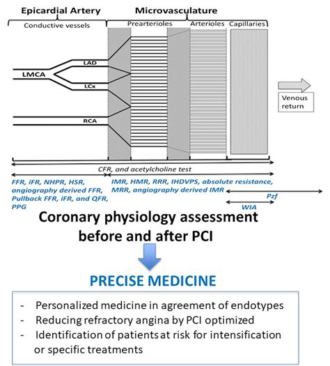 Coronary Physiology Delivering Precision Medicine