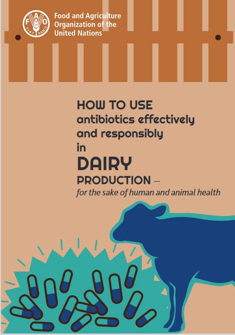 How To Use Antibiotics Effectively And Responsibly In Dairy Production